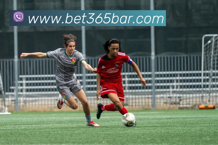 bet365中国官网平台生态图